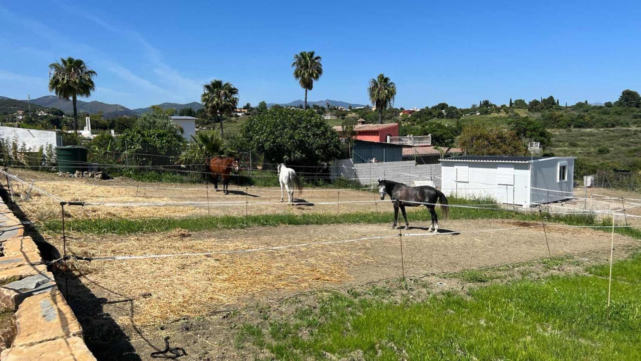 Les Chevaux De Coeur Bed & Breakfast Estepona Exterior photo
